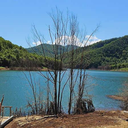 Pensiunea Izvorul Bucuriei Siriu Esterno foto