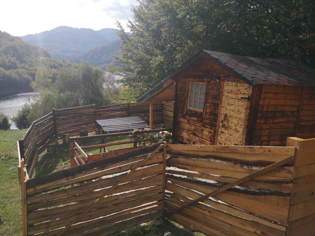 Pensiunea Izvorul Bucuriei Siriu Esterno foto