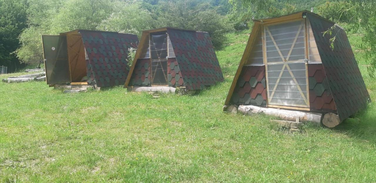 Pensiunea Izvorul Bucuriei Siriu Esterno foto