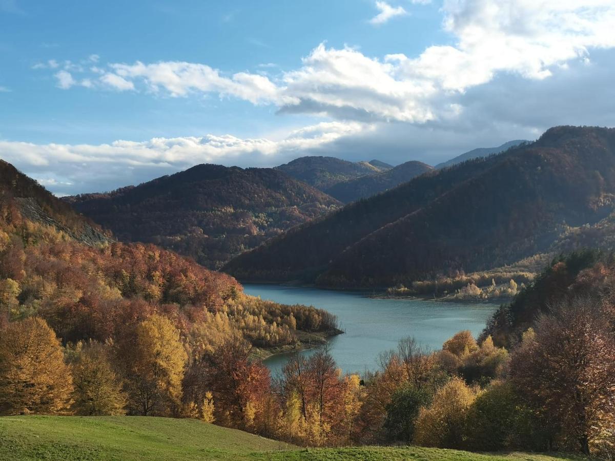 Pensiunea Izvorul Bucuriei Siriu Esterno foto