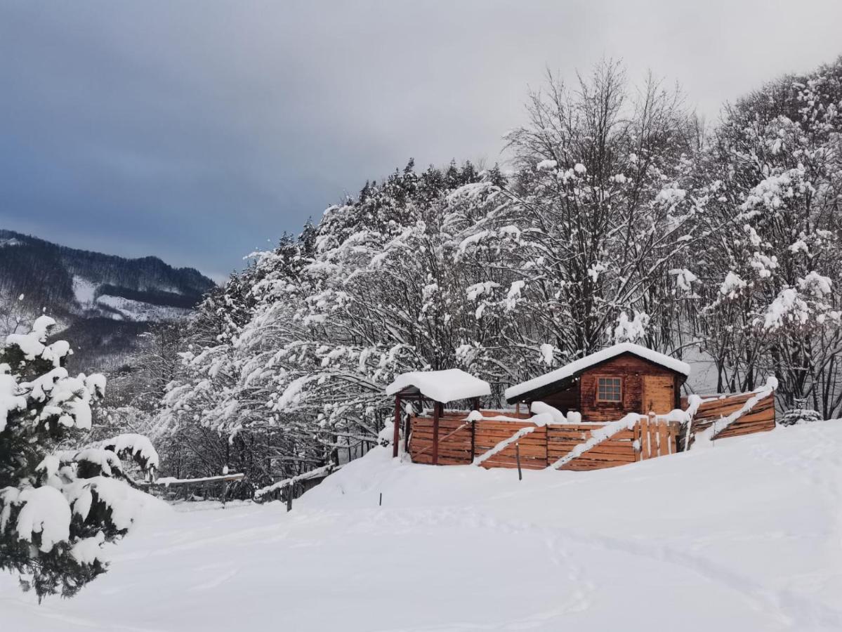 Pensiunea Izvorul Bucuriei Siriu Esterno foto