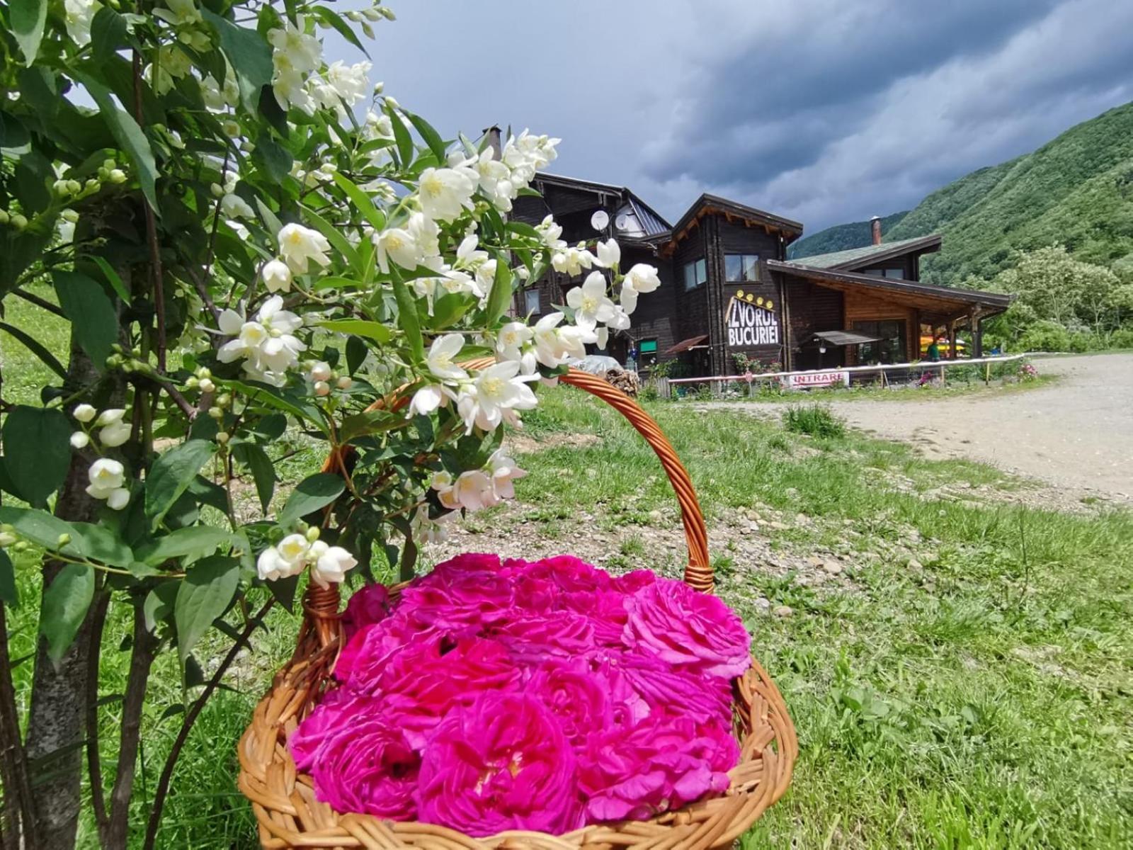 Pensiunea Izvorul Bucuriei Siriu Esterno foto