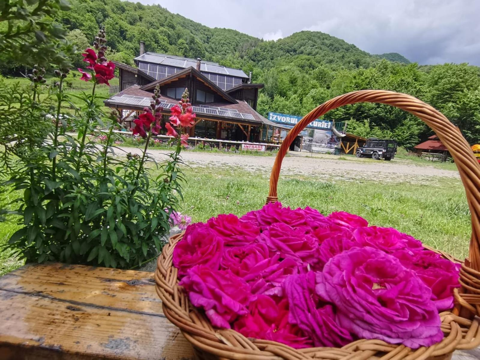 Pensiunea Izvorul Bucuriei Siriu Esterno foto