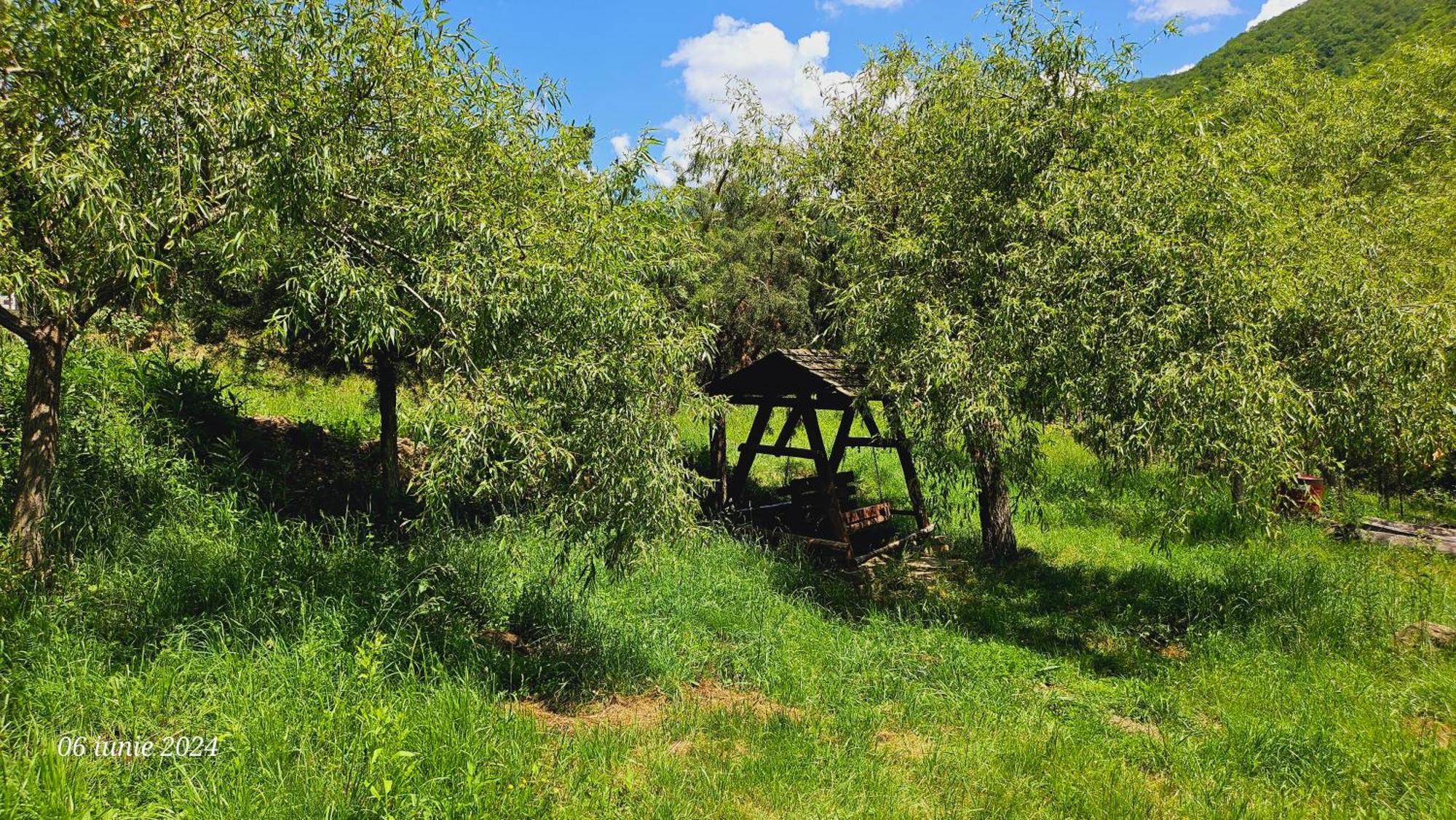 Pensiunea Izvorul Bucuriei Siriu Esterno foto