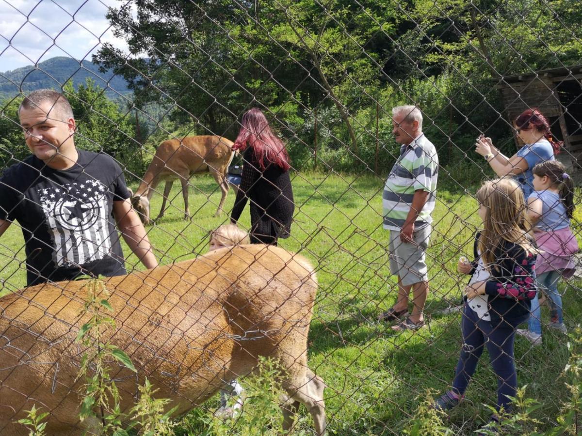 Pensiunea Izvorul Bucuriei Siriu Esterno foto