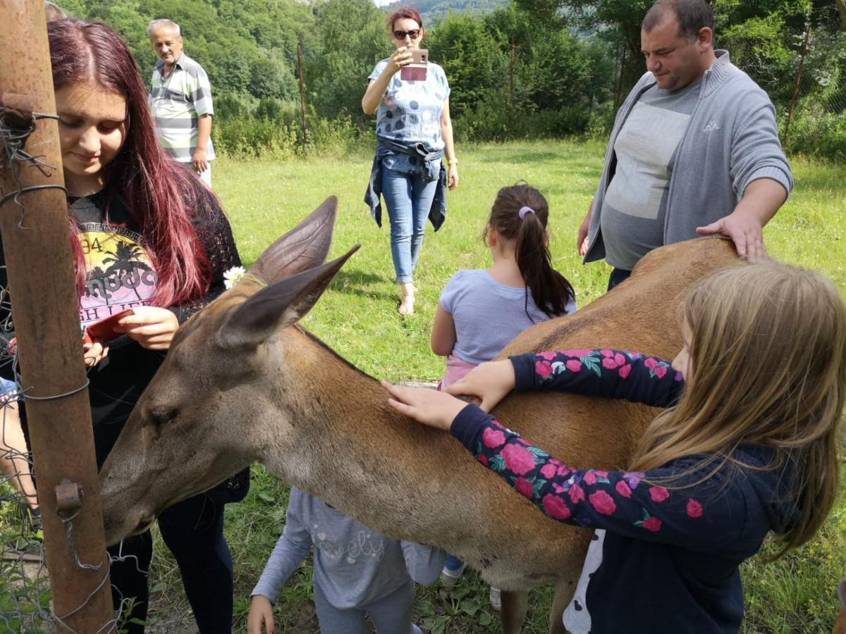 Pensiunea Izvorul Bucuriei Siriu Esterno foto